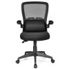 Ergonomic Desk Chair with Lumbar Support and Flip-up Armrest