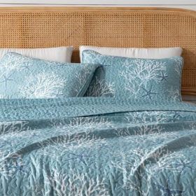 Full / Queen set, Summer Coastal Quilt with Sham, Beach 2-Piece Reversible All Season Bedspread Quilt Set. Lightweight Nautical (Color: Ether Blue, size: Full   Queen)