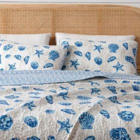 Full / Queen set, Summer Coastal Quilt with Sham, Beach 2-Piece Reversible All Season Bedspread Quilt Set. Lightweight Nautical (Color: Blue White, size: Full   Queen)