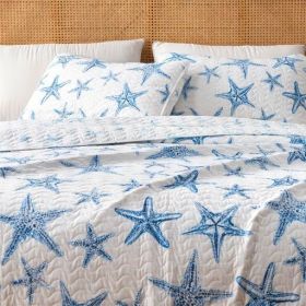 Full / Queen set, Summer Coastal Quilt with Sham, Beach 2-Piece Reversible All Season Bedspread Quilt Set. Lightweight Nautical (Color: Blue Star, size: Full   Queen)