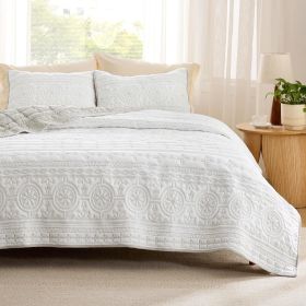 Coverlet Queen Size -Quilt Bedding , Corduroy Pattern Quilt Set, 3 Pieces, 1 Quilt (90"x96") & 2 Pillow Shams (20"x26"+2") (Color: Linen - Scrollwork)