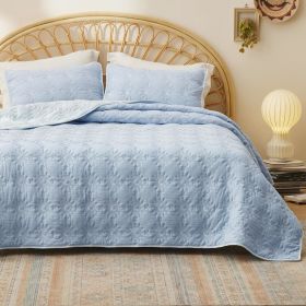 Coverlet Queen Size -Quilt Bedding , Corduroy Pattern Quilt Set, 3 Pieces, 1 Quilt (90"x96") & 2 Pillow Shams (20"x26"+2") (Color: Ash Blue - Solar)